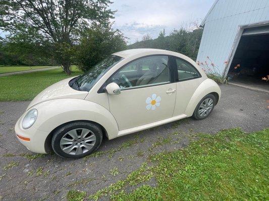 Full detail on volts wagon beetle