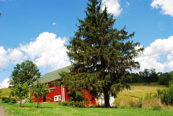 Catskills Escape Barn and Silo