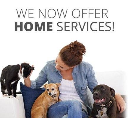 Frisco home pet sitting