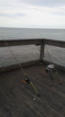 This guy was trying to catch a stingray