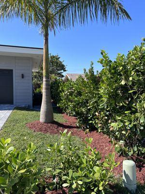 PRIVACY FROM NEIGHBORS. SCHANER RESIDENCE MARCO ISLAND