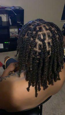 Two Strand Twists