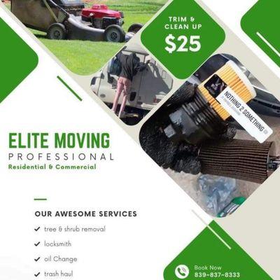 Elite Moving Professional