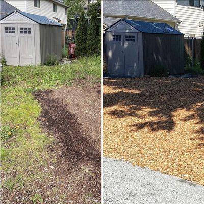 A before and after from a North Seattle wood chip refreshment.