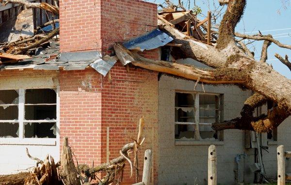 Tree Fell on roof