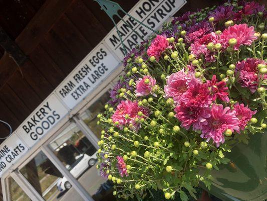 Flowers, farm fresh eggs, baked goods, fruits and veggies....