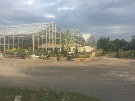 Cross Creek Nursery