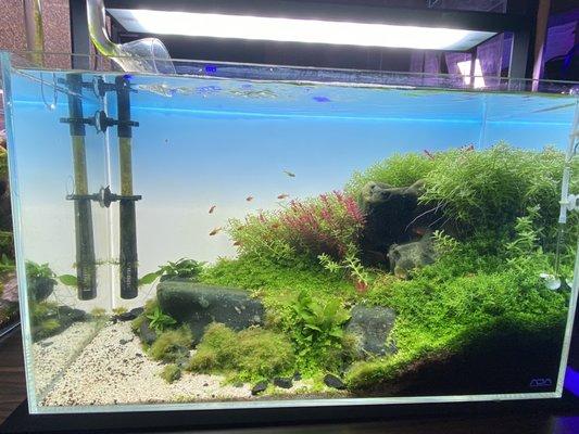 Display setup for sale - love the 3D aquascape