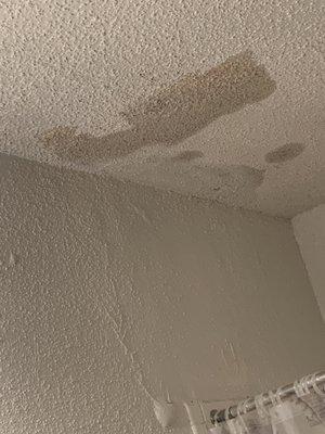 Ceiling was leaking from upstairs.. now there's holes