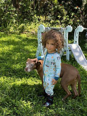 Ruger is a sweet perfect girl! Hanging with her little human brother!