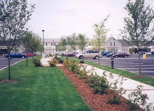 Commercial Landscaping