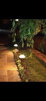 Front walkway landscape lighting