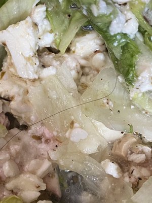 Hair in my Greek Salad