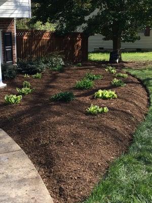 Planting and Mulch