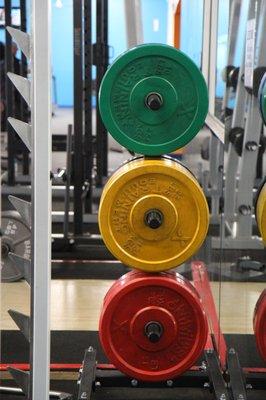 Bumper Plates