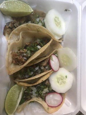 Carnita Tacos