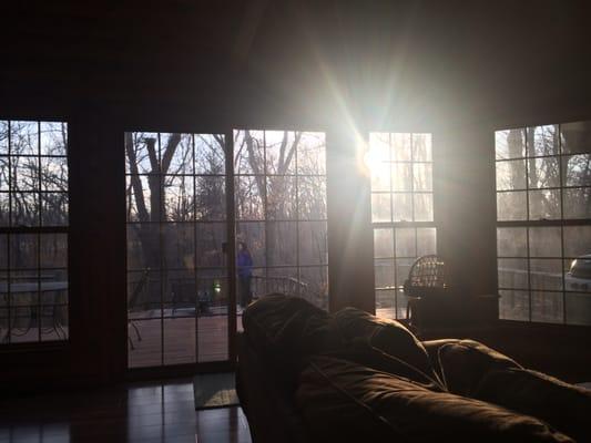 A view out of the back of the Fern Glen cabin