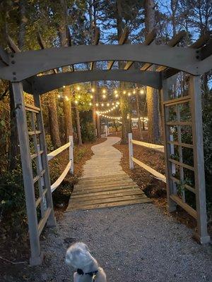 Beautifully lit path going down the center of the campgrounds