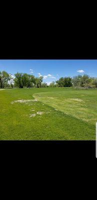 Fairways were HORRIBLE yet they charged $70 for Memorial weekend.  The only memories we'll have are of geese and poor conditions.