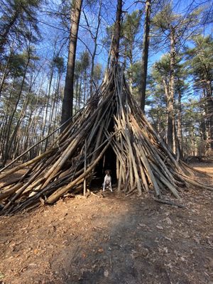 Tree structure