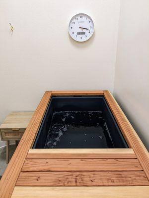 Cold Plunge tank with ozone purified and filtered water