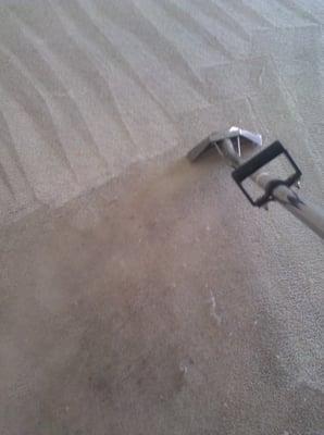 Performance Carpet and Flooring Services