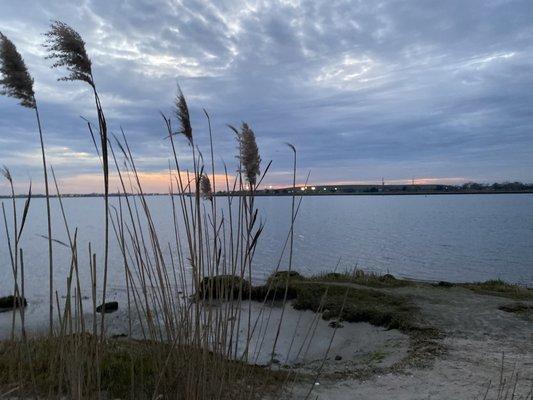 View of Middle Bay