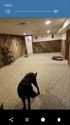 Remodel the basement build new walls ceiling and carpet