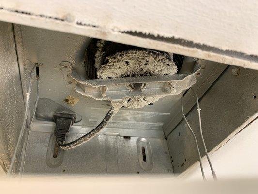 paint fumes vapor on the bathroom exhaust fan