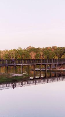 Turtle bridge