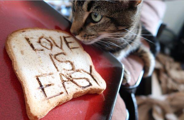 Love is easy toast