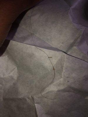 I found this long piece of hair in my steak and cheese sub and lost my whole entire appetite.