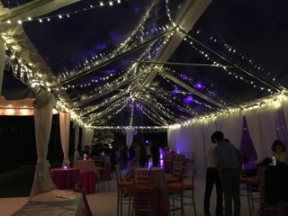 Clear top tent with string lights