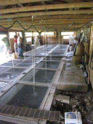 Trout Hatchery