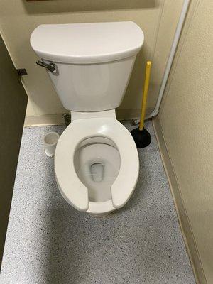 Sanitized Toilet