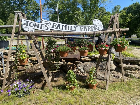 Nursery of Jones Family Farms