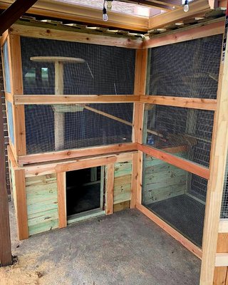 Custom "catio", dog house on the "first floor", plenty of platforms for the cats, AND a "cat-cam"!