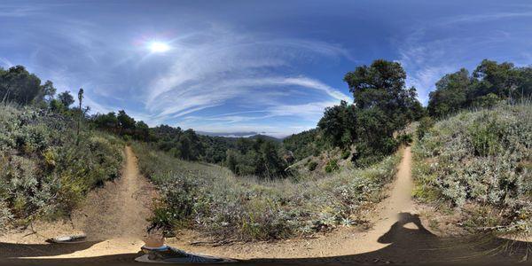 Photo sphere from the trail