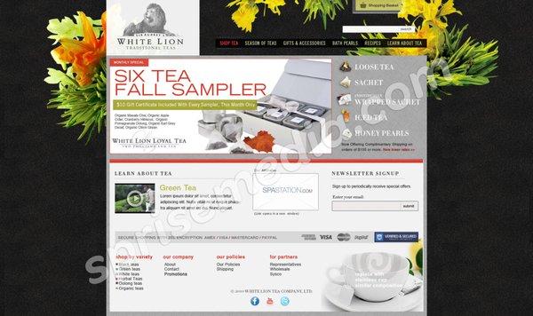 Scottsdale website design, ecommerce concept