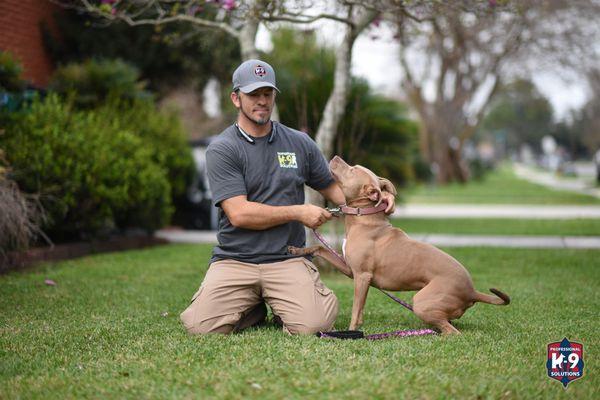 Professional K9 Solutions owner, Joseph James training a dog.