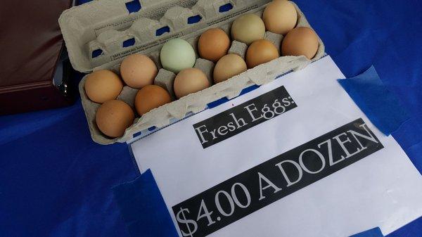 Fresh eggs!