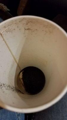 This is how the bottom of their coffee looks like. Ewwww