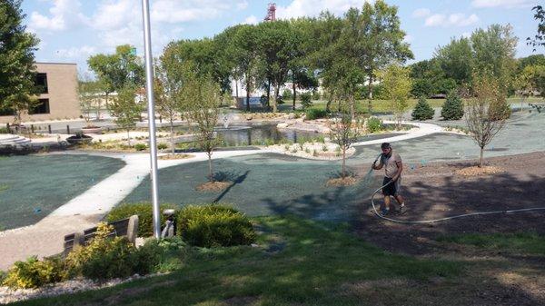 Hydroseeding an Insurance Headquarter Campus