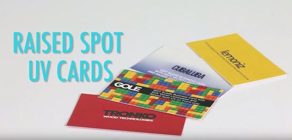 Raised Spot UV business cards.  Get a set of 100, designed, printed, and delivered, with your purchase of LOGO design.