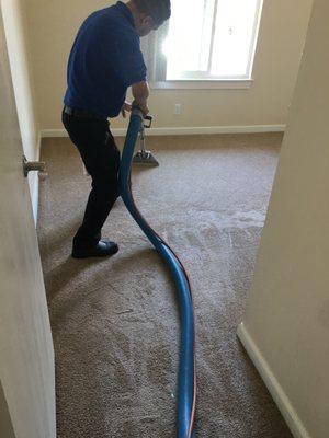 Profesional Steam  Carpet Cleaning