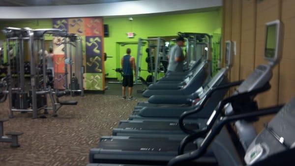 Down the row of NEW cardio machines to the weight room in the back.