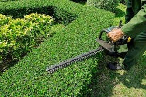 Landscape maintenance