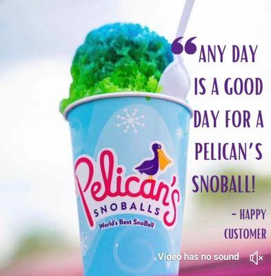 Pelican's SnoBalls Greensboro: Milner Dr.