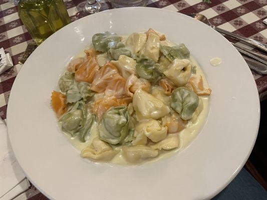 Tortellini Alfredo - filling and creamy. This picture makes it look like a small serving but it could've been 3 servings!