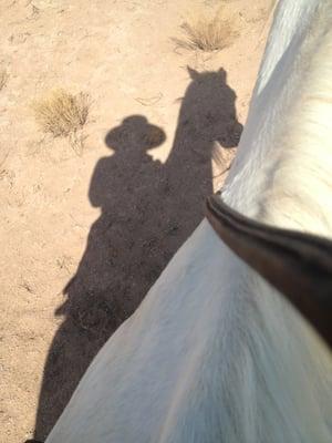 Horse and shadowy rider...